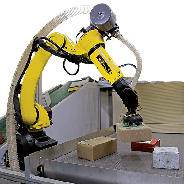 Fanuc m10 series warehousing robots